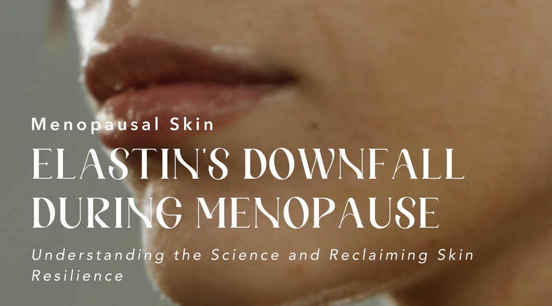 Elastin's Downfall During Menopause: How Sómeu Reclaims Skin Resilience