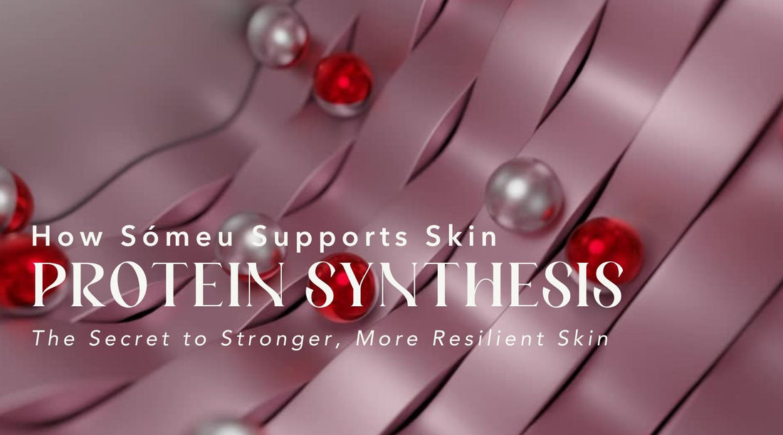 Building Blocks of Radiance: How Sómeu Fuels Your Skin's Protein Synthesis