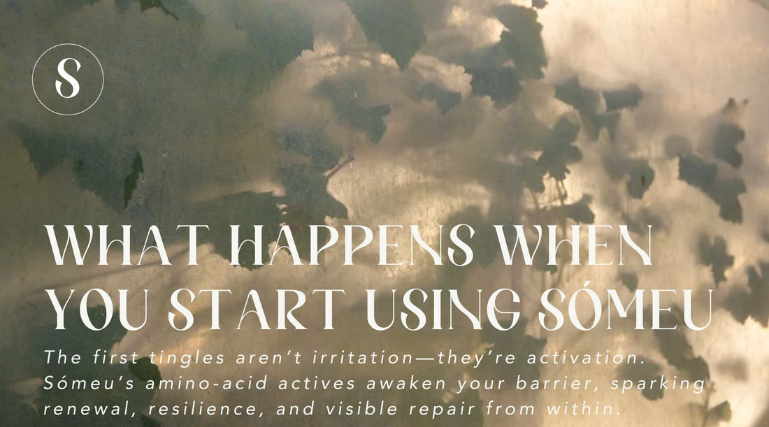 What Happens When You Start Using Sómeu
