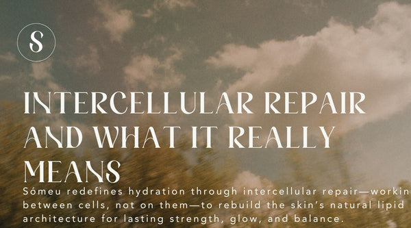 Intercellular Repair and What It Really Means
