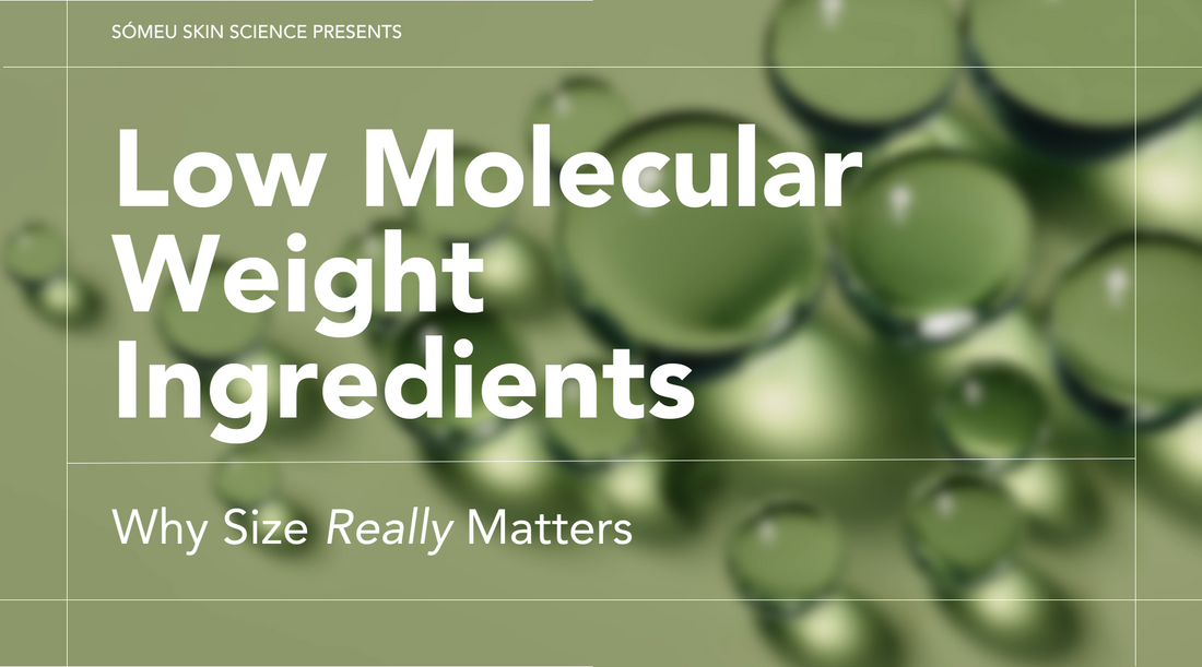 Low Molecular Weight Ingredients: Why Size Really Matters
