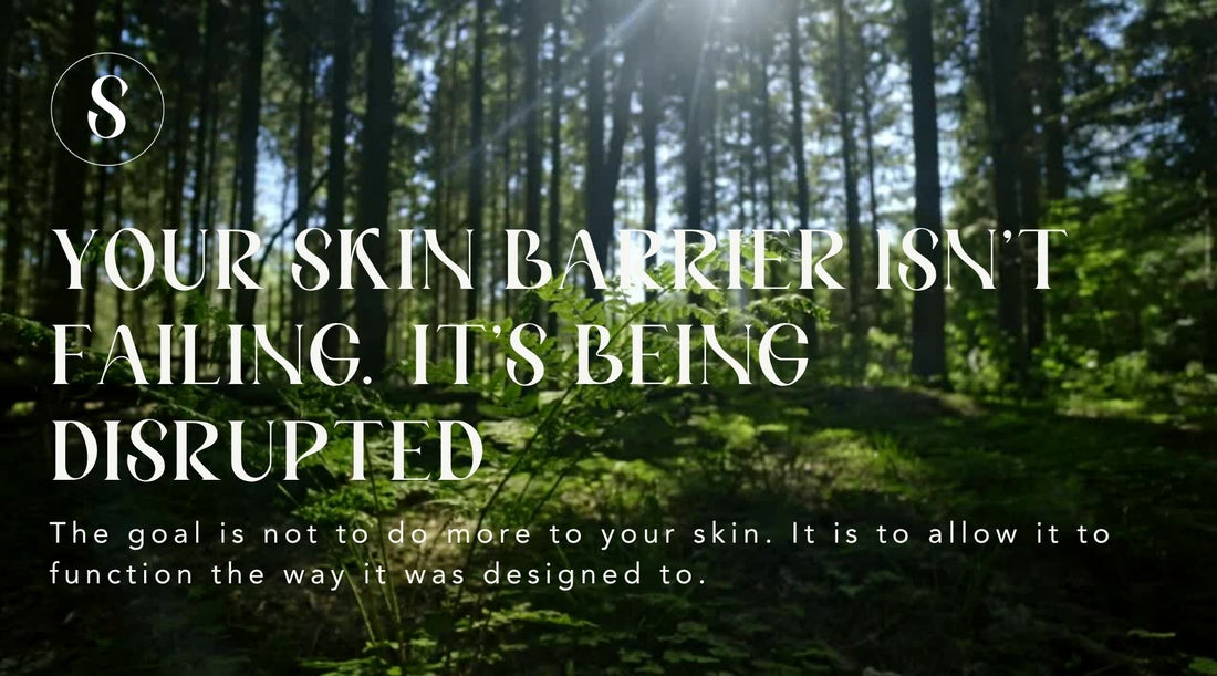 Your Skin Barrier Isn’t Failing. It’s Being Disrupted.